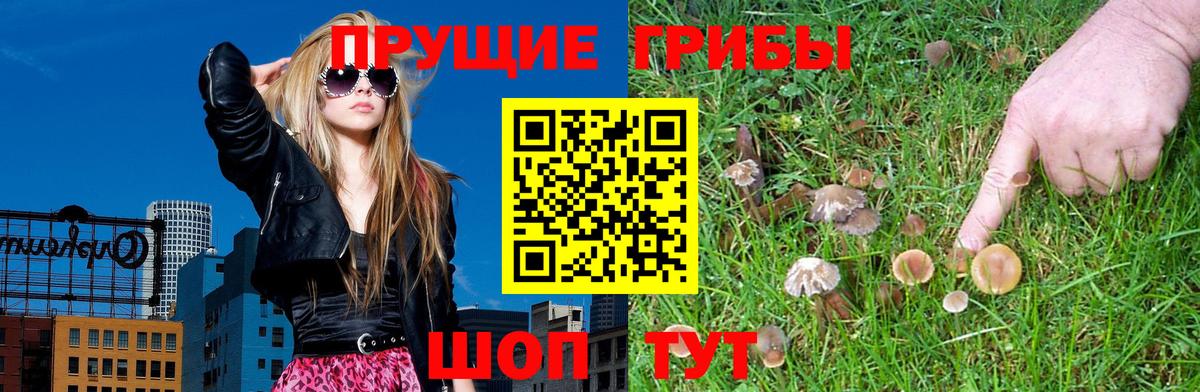 Галлюциногенные грибы Magic Shrooms  Псилоцибиновые грибы ЛСД  купить наркотики цена  Вход с VPN  Павловский Посад 